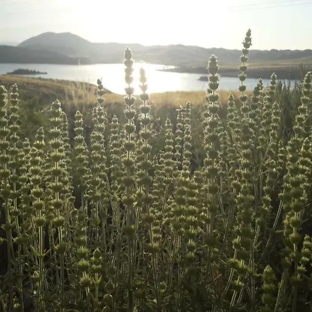 Casaenmedio * Valle de Abdalagís